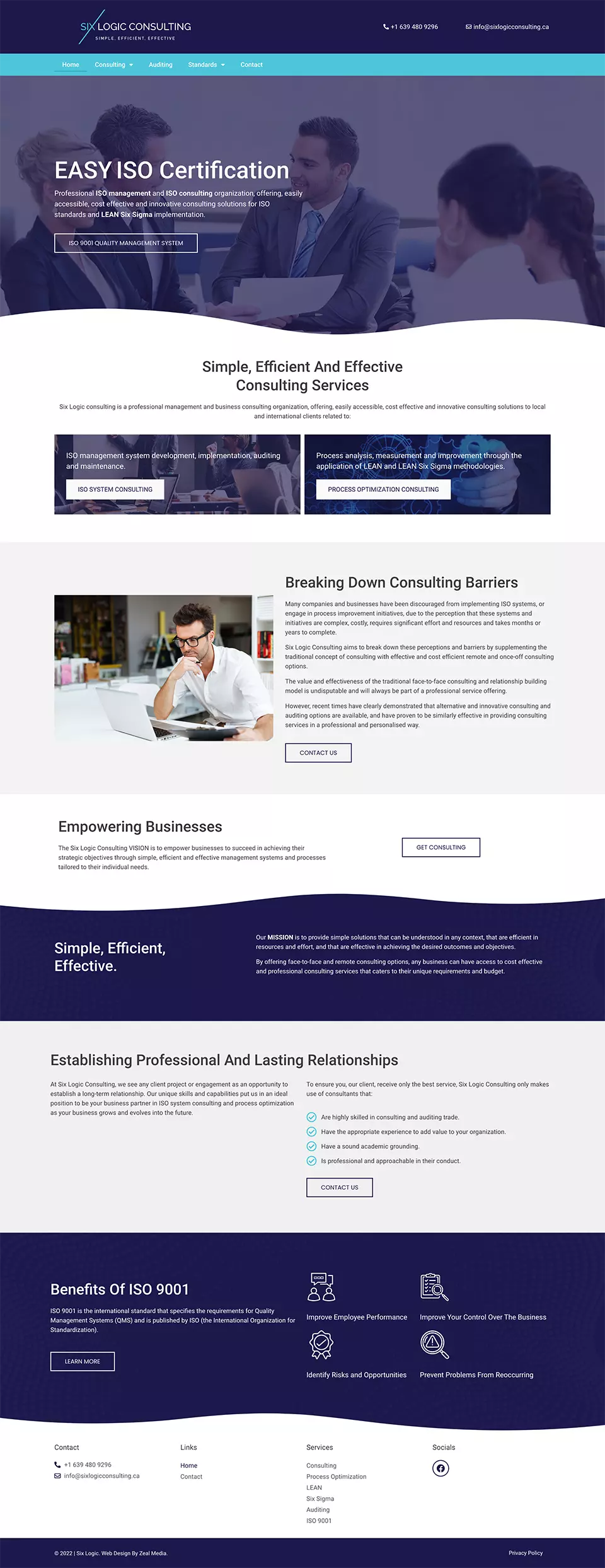 Consulting Web Designer